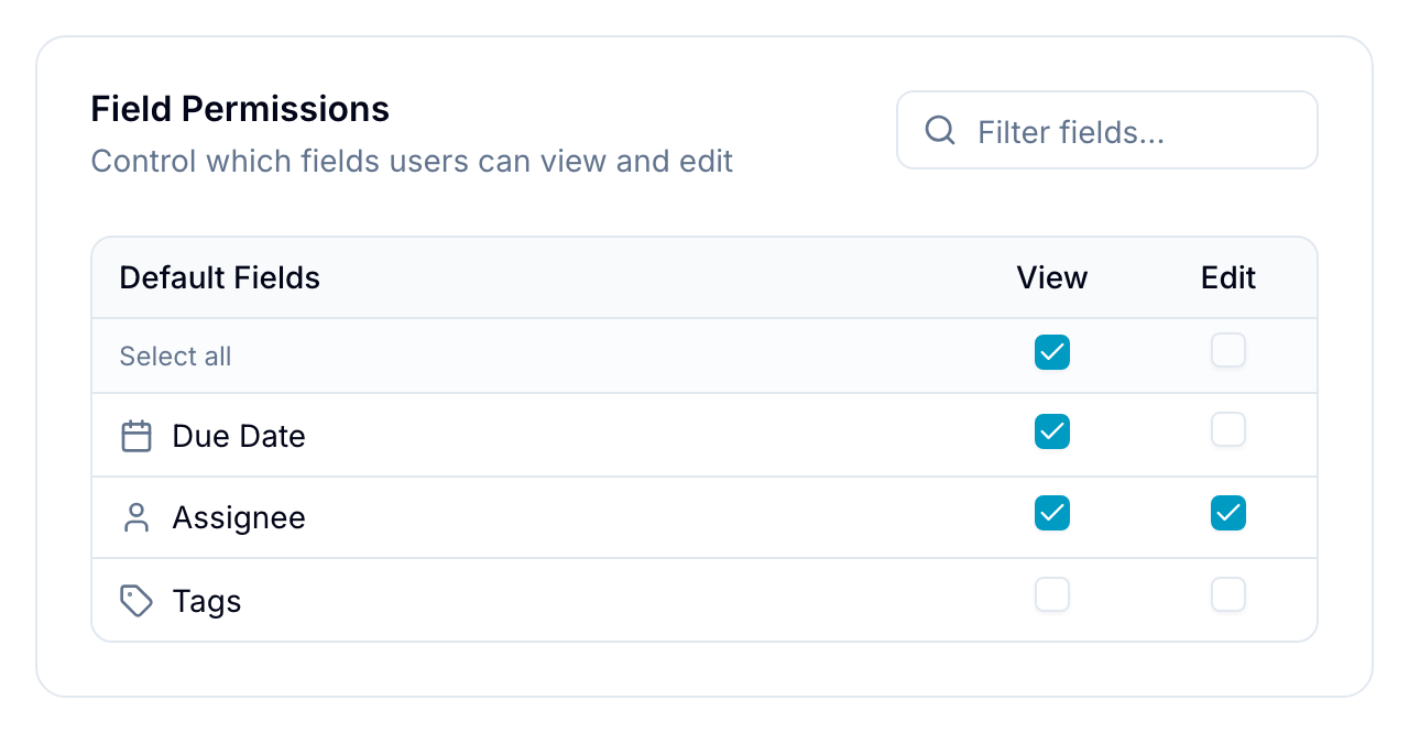 Custom Fields Access table listing field types with View and Edit checkboxes per field